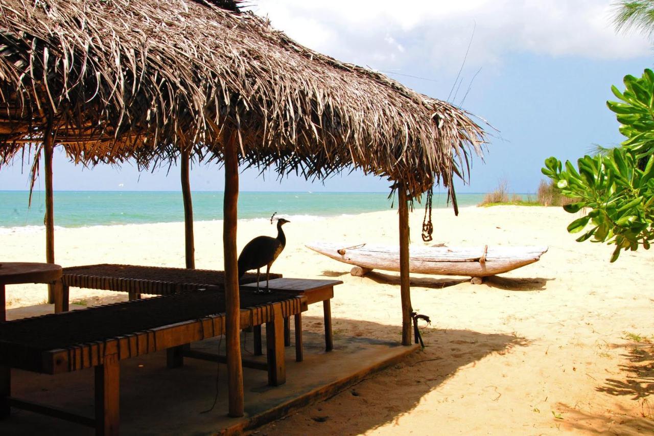 Khomba Beach House Alankuda Exterior foto